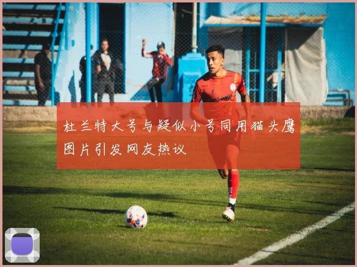 杜兰特大号与疑似小号同用猫头鹰图片引发网友热议