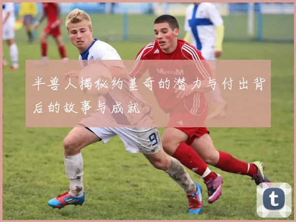 半兽人揭秘约基奇的潜力与付出背后的故事与成就