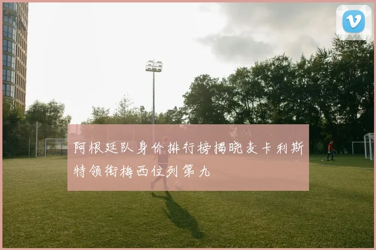 阿根廷队身价排行榜揭晓麦卡利斯特领衔梅西位列第九