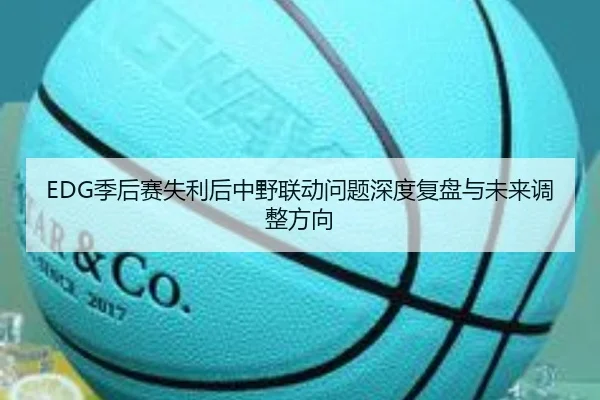 EDG季后赛失利后中野联动问题深度复盘与未来调整方向